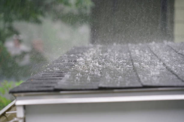 Best Asphalt Shingle Roofing  in Random Lake, WI