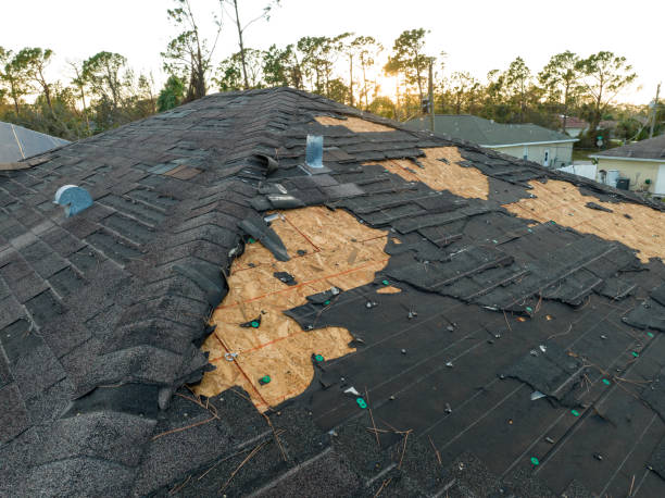 Roof Coating Services in Random Lake, WI